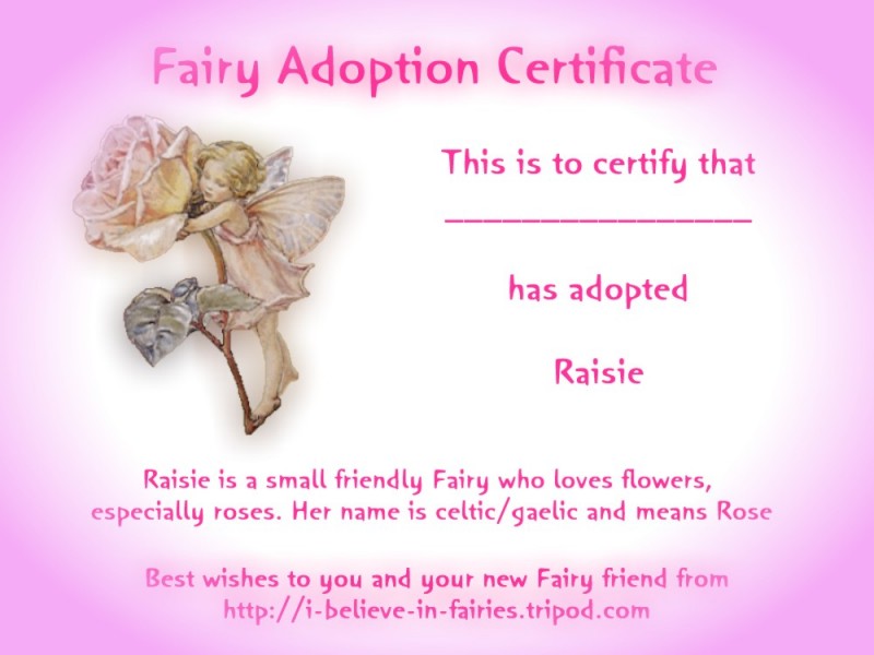 raisie_rose_fairyb.jpg